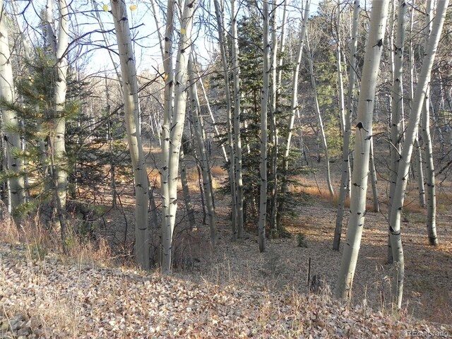 430 Pinon Ln, Florissant, CO 80816 - photo 1