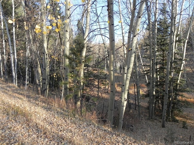 430 Pinon Ln, Florissant, CO 80816 - photo 2