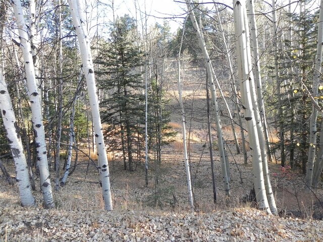 430 Pinon Ln, Florissant, CO 80816 - photo 3