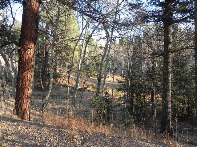 430 Pinon Ln, Florissant, CO 80816 - photo 5