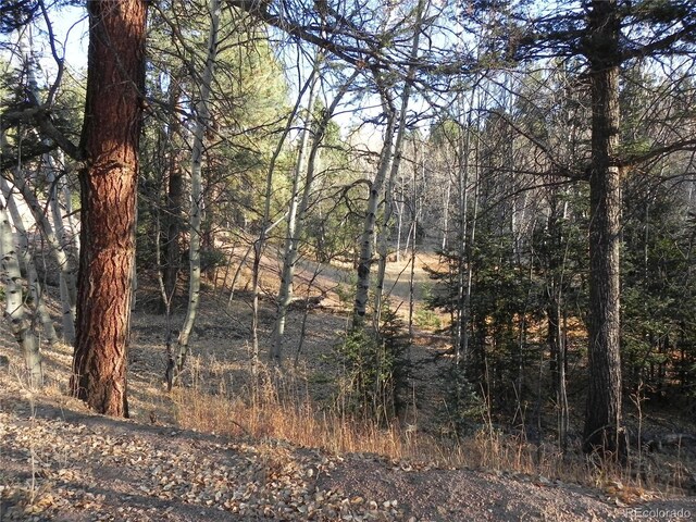 430 Pinon Ln, Florissant, CO 80816 - photo 6