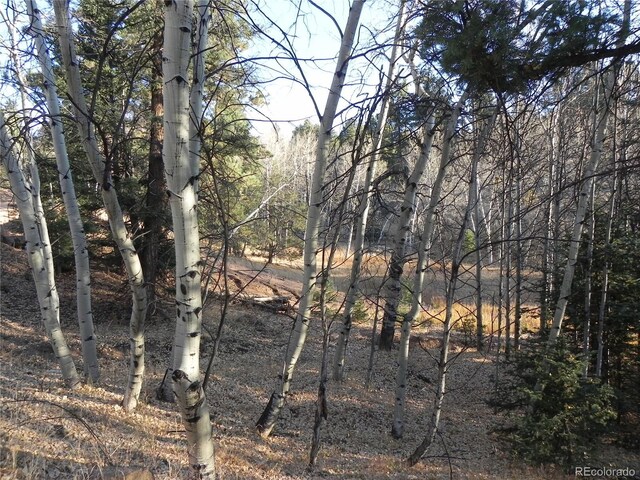 430 Pinon Ln, Florissant, CO 80816 - photo 7