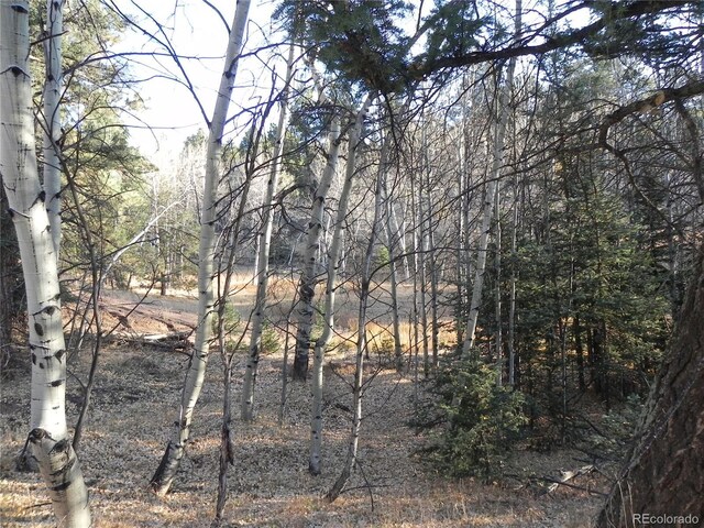 430 Pinon Ln, Florissant, CO 80816 - photo 8
