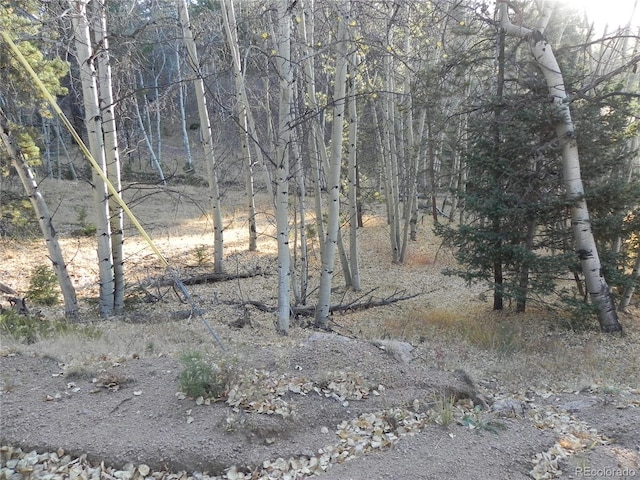430 Pinon Ln, Florissant, CO 80816 - photo 11