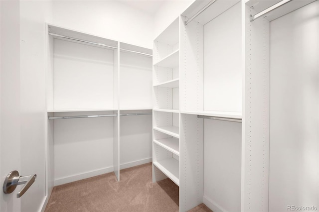 spacious closet featuring light carpet