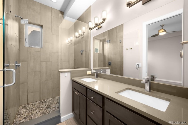 bathroom featuring vanity and a shower with shower door