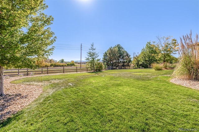 view of yard with a rural view