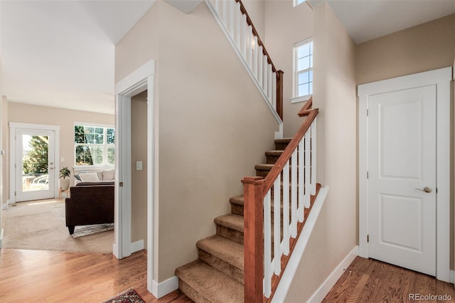 stairway with hardwood / wood-style floors