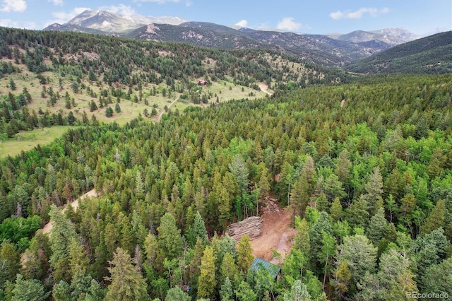 3450 Smith Hill Rd, Black Hawk, CO 80422 - photo 1