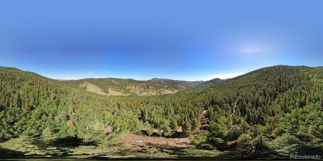 3450 Smith Hill Rd, Black Hawk, CO 80422 - photo 23