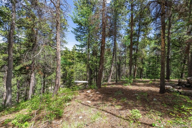 3450 Smith Hill Rd, Black Hawk, CO 80422 - photo 19