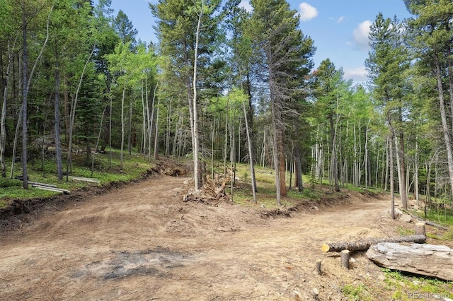 3450 Smith Hill Rd, Black Hawk, CO 80422 - photo 5