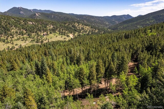 3450 Smith Hill Rd, Black Hawk, CO 80422 - photo 6