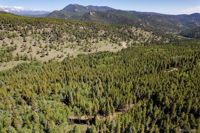 3450 Smith Hill Rd, Black Hawk, CO 80422 - photo 22
