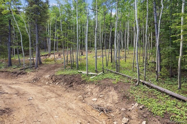 3450 Smith Hill Rd, Black Hawk, CO 80422 - photo 16