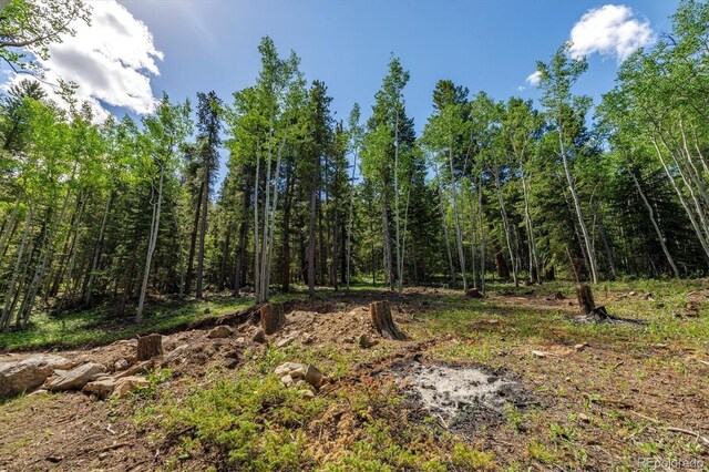 3450 Smith Hill Rd, Black Hawk, CO 80422 - photo 17