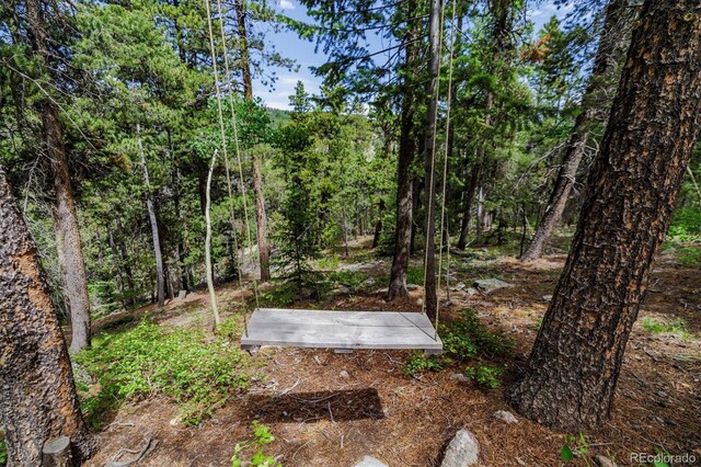 3450 Smith Hill Rd, Black Hawk, CO 80422 - photo 21