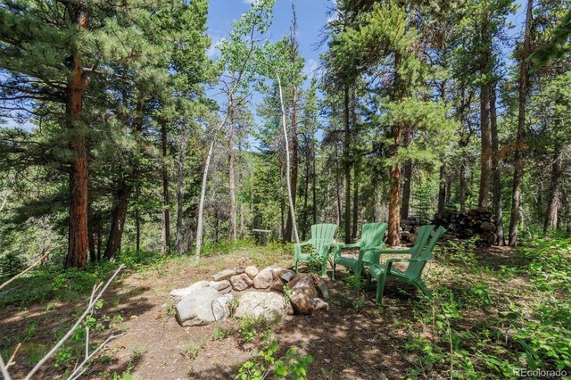 3450 Smith Hill Rd, Black Hawk, CO 80422 - photo 25