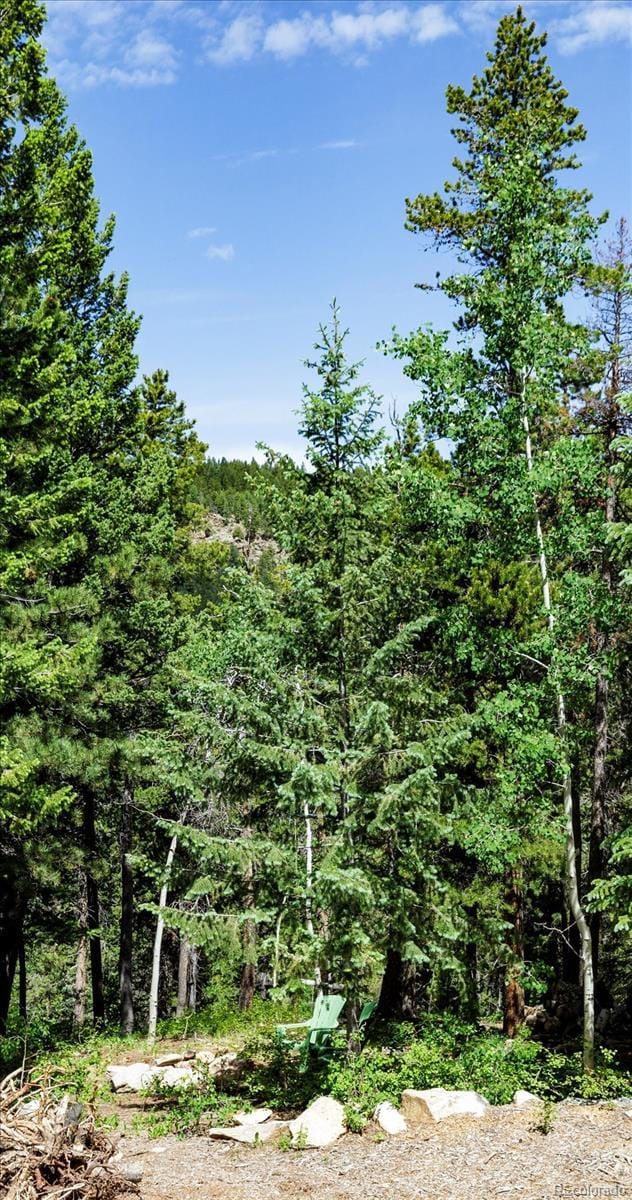 3450 Smith Hill Rd, Black Hawk, CO 80422 - photo 26
