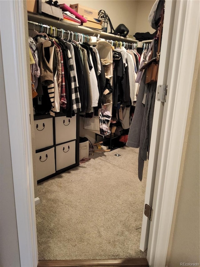 spacious closet featuring carpet flooring