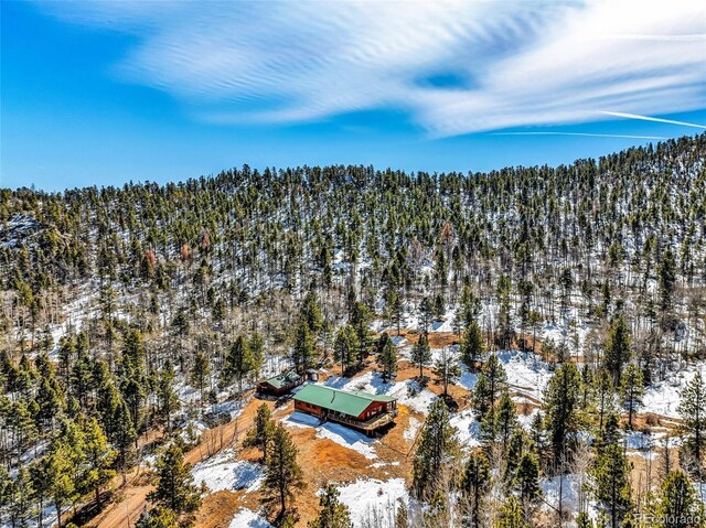 8 Camp Dr, Westcliffe, CO 81252 - photo 33