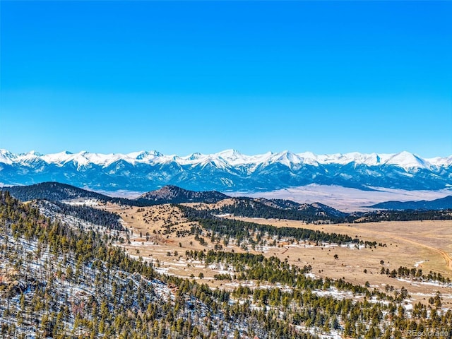 8 Camp Dr, Westcliffe, CO 81252 - photo 34
