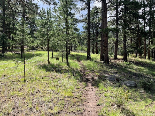 8 Camp Dr, Westcliffe, CO 81252 - photo 40