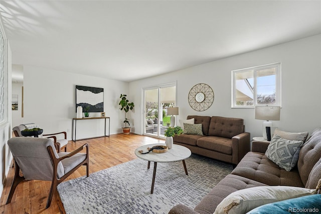 7751 S Race St, Centennial, CO 80122 - living room featuring light wood-style floors