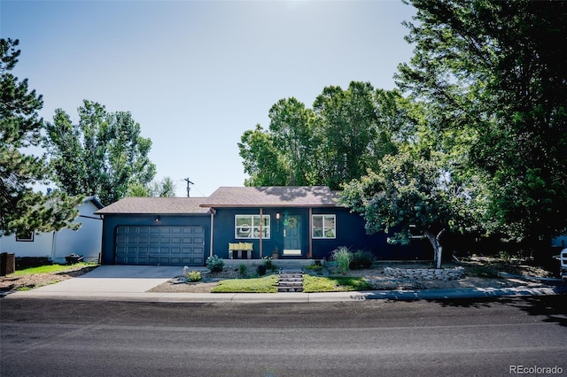 332 Maple Dr, Frederick, CO 80530 - ranch-style house with an attached garage, concrete driveway, and stucco siding