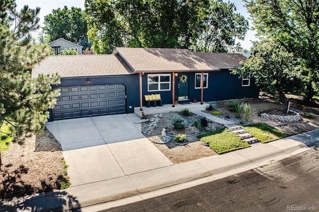 332 Maple Dr, Frederick, CO 80530 - ranch-style home with an attached garage, roof with shingles, driveway, and stucco siding