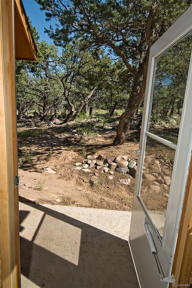 view of yard featuring a patio area