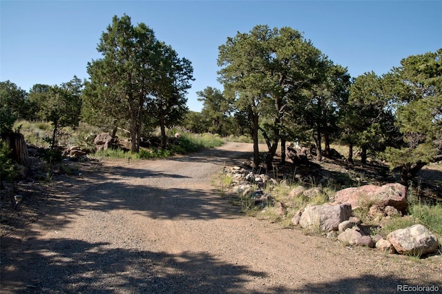 view of road with a rural view