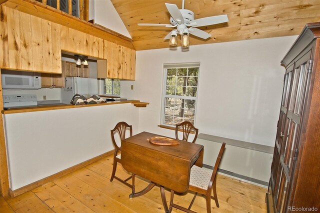 349 Chaparral Way, Crestone, CO 81131 - dining room featuring wooden ceiling, a ceiling fan, vaulted ceiling, and light wood finished floors