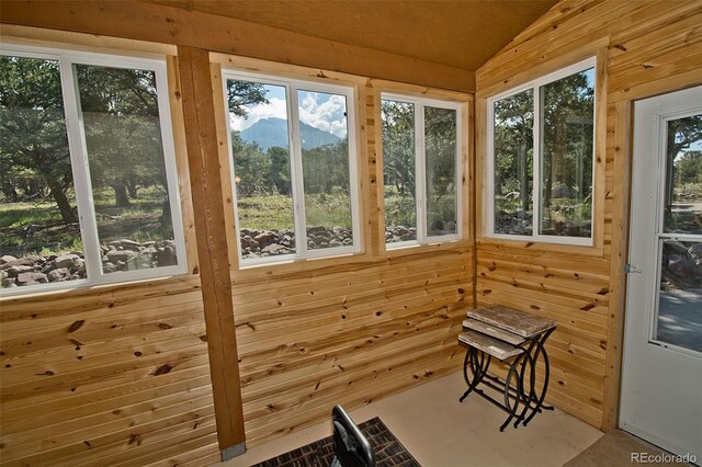 349 Chaparral Way, Crestone, CO 81131 - unfurnished sunroom with wooden walls, a wealth of natural light, and lofted ceiling