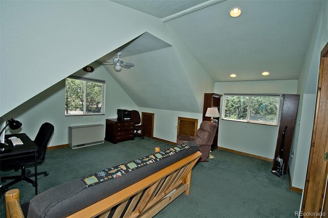 349 Chaparral Way, Crestone, CO 81131 - bedroom featuring baseboards, multiple windows, and carpet