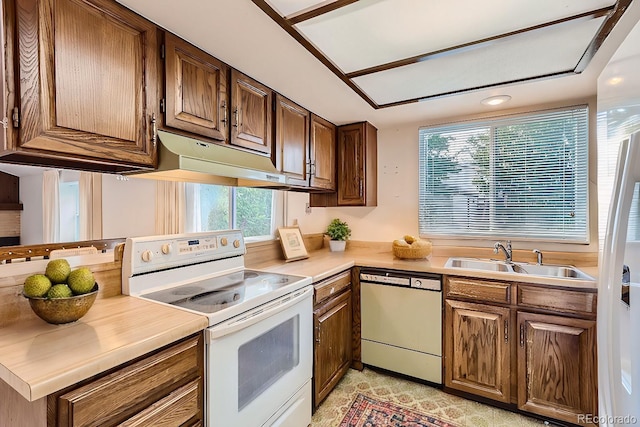 kitchen featuring white appliances, brown cabinets, light countertops, under cabinet range hood, and a sink