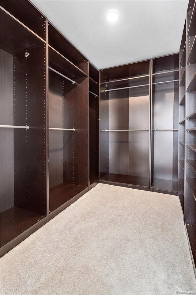 821 Boulder Peak Ave, Erie, CO 80516 - walk in closet featuring carpet flooring