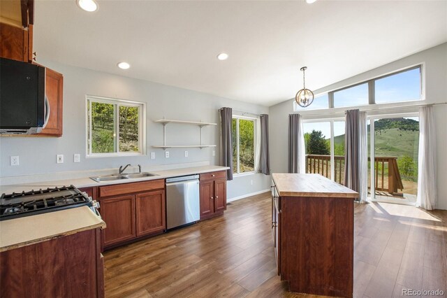 1536 County Road 1, Cripple Creek, CO 80813 - kitchen featuring dishwasher, a sink, open shelves, dark wood-type flooring, and plenty of natural light