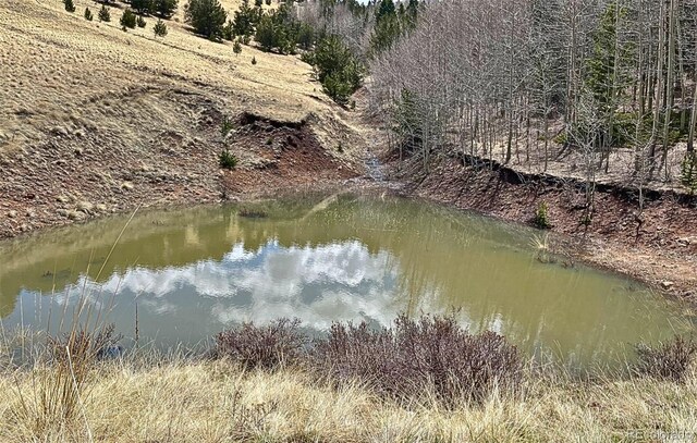 1536 County Road 1, Cripple Creek, CO 80813 - water view