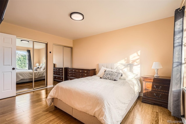 bedroom featuring hardwood / wood-style floors and multiple closets