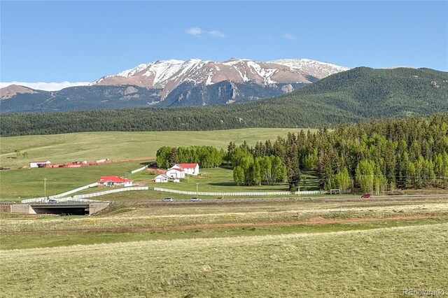 407 Meadow Park Dr, Divide, CO 80814 - photo 6