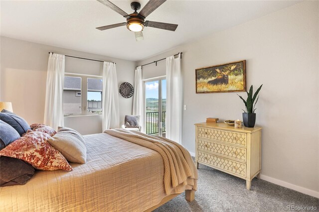 407 Meadow Park Dr, Divide, CO 80814 - photo 18