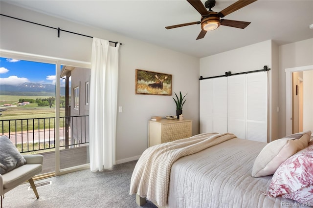 407 Meadow Park Dr, Divide, CO 80814 - photo 19