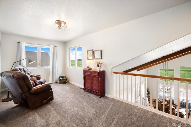 407 Meadow Park Dr, Divide, CO 80814 - photo 26