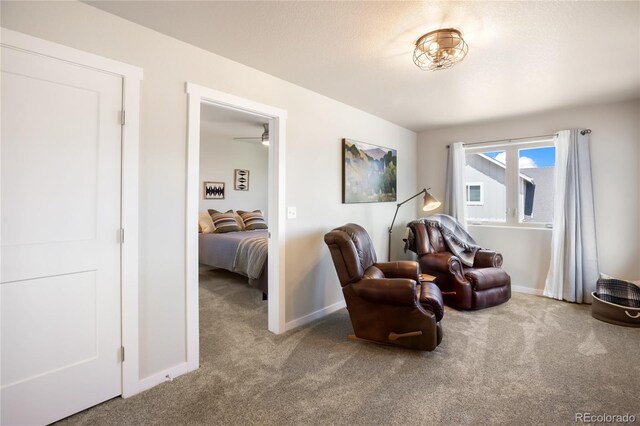 407 Meadow Park Dr, Divide, CO 80814 - photo 27