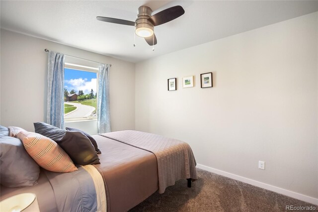 407 Meadow Park Dr, Divide, CO 80814 - photo 28