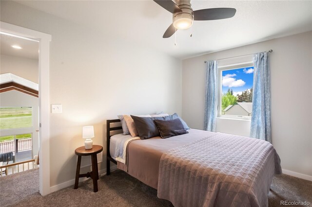 407 Meadow Park Dr, Divide, CO 80814 - photo 29