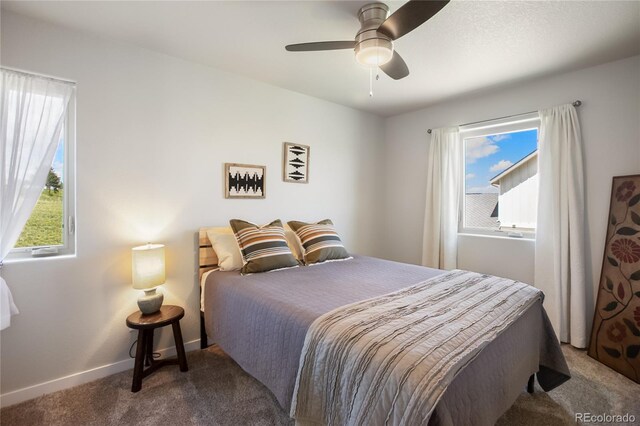 407 Meadow Park Dr, Divide, CO 80814 - photo 31