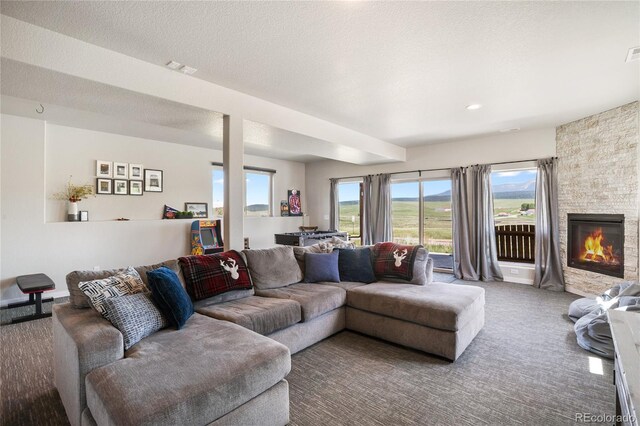 407 Meadow Park Dr, Divide, CO 80814 - photo 34