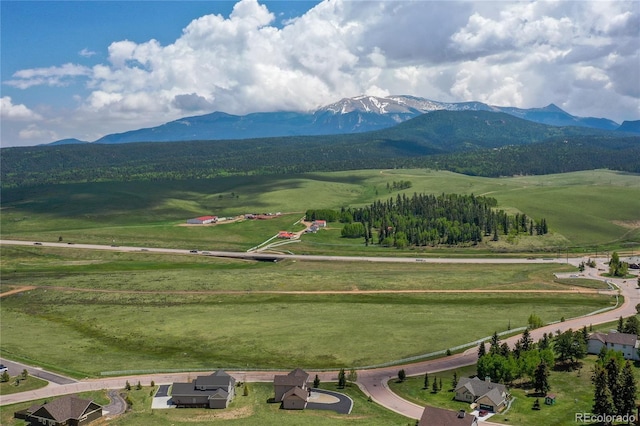 407 Meadow Park Dr, Divide, CO 80814 - photo 48